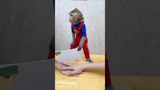 Download lagu Bayi monyet pintar ingin bermain lebih realistis #funny #animal #cute #monyet #bayimonyet mp3 Download lagu Bayi monyet pintar ingin bermain lebih realistis #funny #animal #cute #monyet #bayimonyet mp3