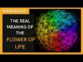 The Template for All Creation? The Profound Meaning of the Flower of Life