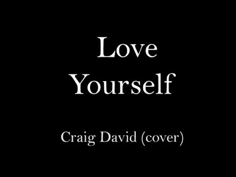 Craig David - Love Yourself (Justin Bieber Cover) Lyric Video