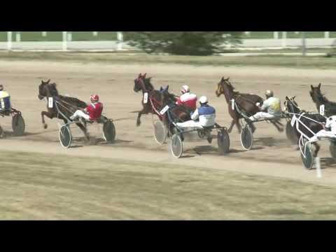 2017.07.01. 5. futam - GRÓF ESTERHÁZY MIKLÓS MÓRIC EMLÉKVERSENY