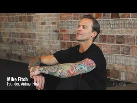 The Six Components of Animal Flow