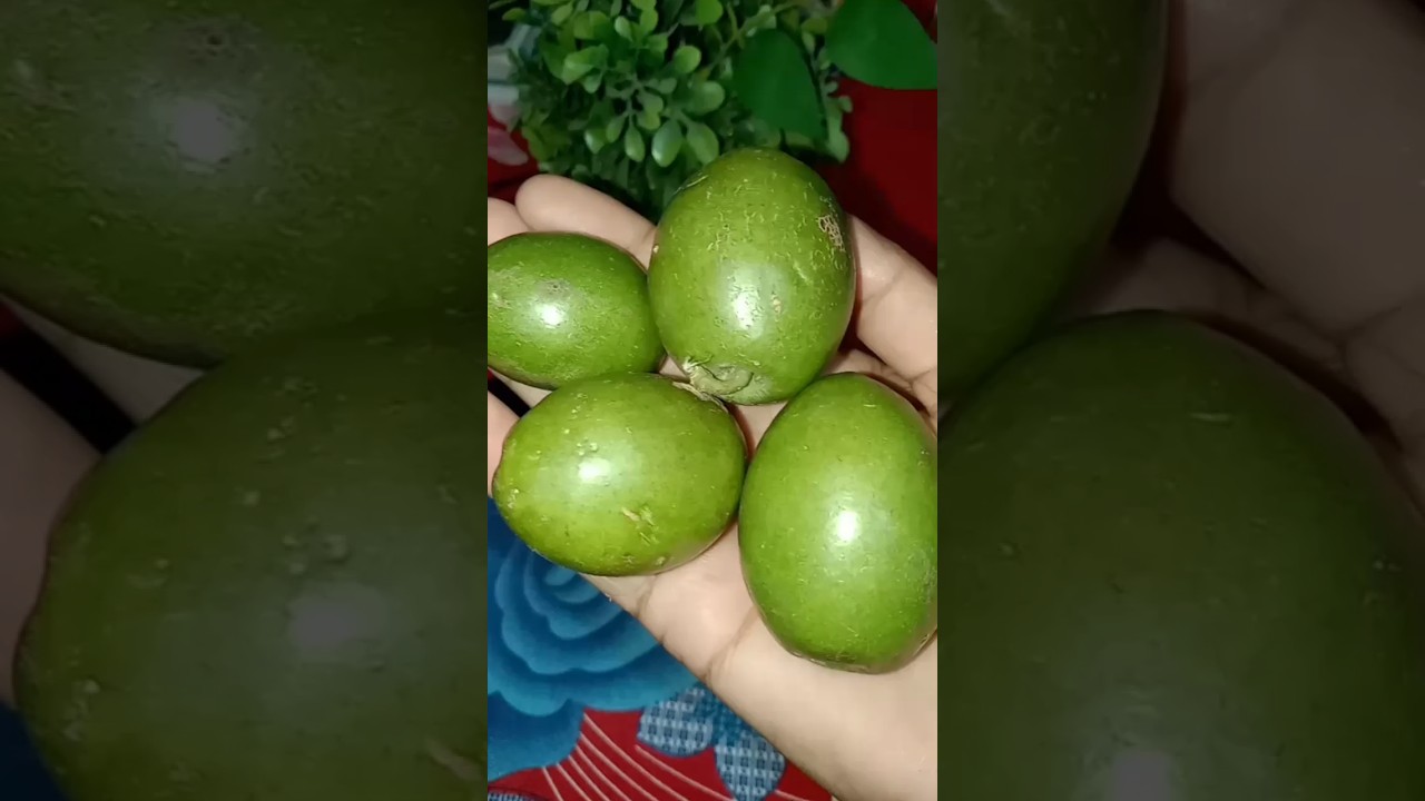 mouth watering olive masala 🫒😋#shorts #youtubeshorts #fruit #yummy #trending #viral
