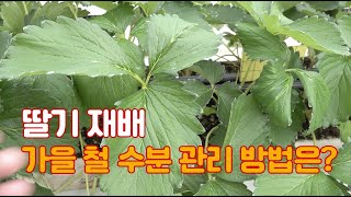 건조한 가을 날씨 대기습 관리!! 이 방법 하나만 알아도 반은 성공