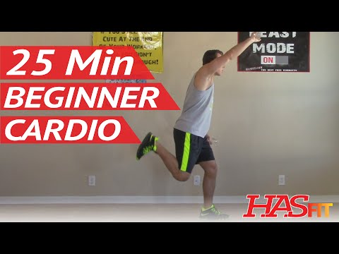25 Min Beginner Cardio Workout at Home - Low Impact Cardio Exercises - Easy Aerobic Workouts