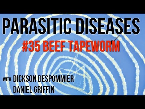 Parasites Without Borders, Parasitic Diseases Lectures #35: Beef Tapeworm