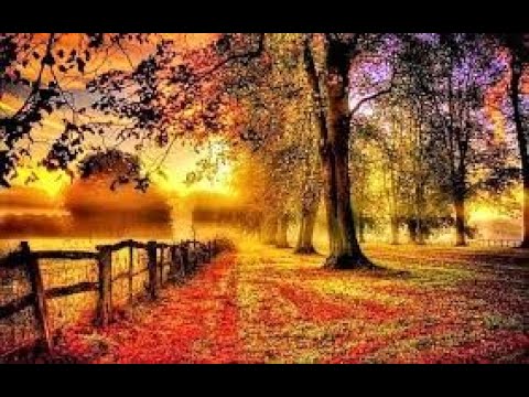 †Wabi Daněk ~ Píseň co mě učil Listopad †