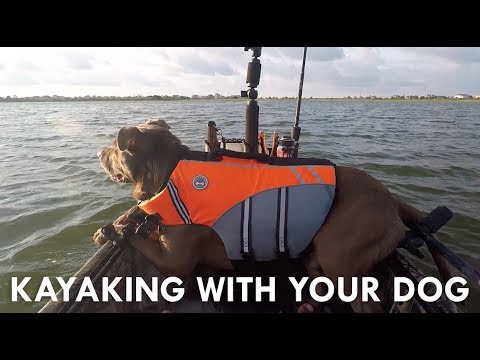 #LIVELIVENOW: #WEOUTHERE | Taking Your Dog Kayaking