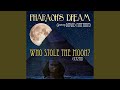 Who Stole the Moon (432Hz Version) (feat. David Nathan)