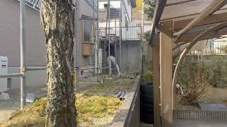 動画サムネイル