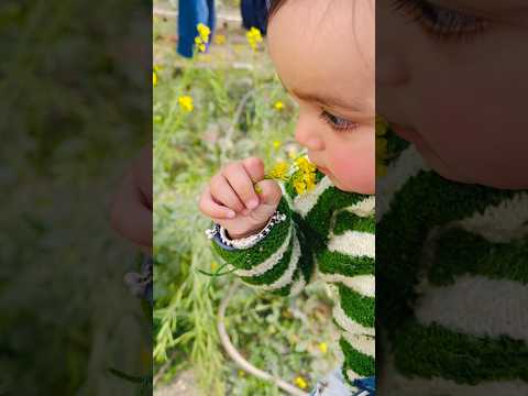 👉 I wish I could freeze these moment forever 🤍#shorts  #babyshorts #momlife #cutebaby