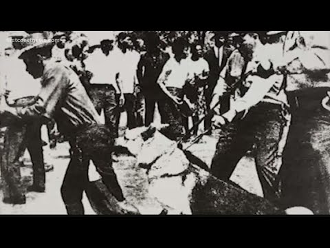 'Murder Capital' reminds us that when it comes to Jacksonville’s murder rate, things could be worse