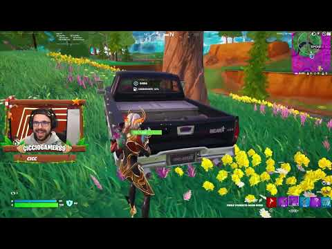 ASSOLUTAMENTE DA CANALE - FORTNITE