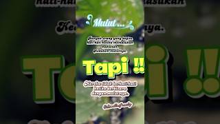 Download lagu Jaga mulutmu !! #shorts #shortvideo #shortsfeed mp3