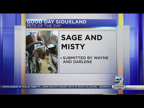 Pets of the Day, 10/2/2018