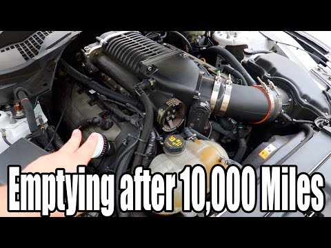 Does an Oil Catch Can ACTUALLY WORK?
