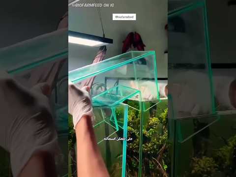 ممر مائي مذهل🤩✨!