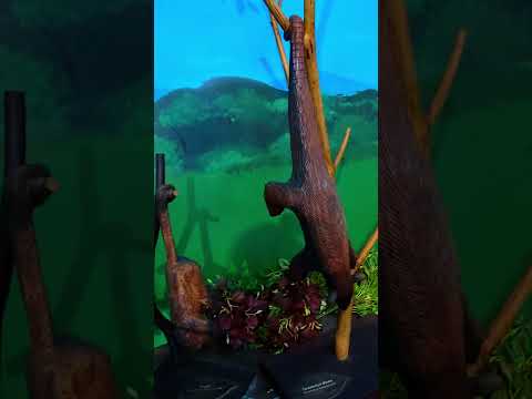 ¡Descubre la majestuosidad! Cascada Caracol #short #shorts  #viajes