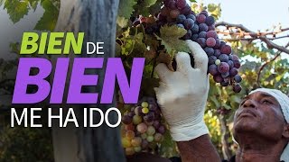 Bien de bien me ha ido