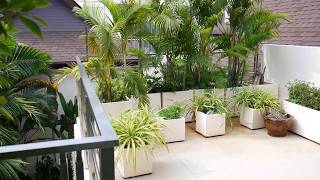 Exceptional Four Bedroom Pool Villa Located Within Walking Distance to Rawai Beach