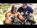 WORLD RECORD ARM CURLS (INSANE)