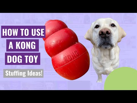 How to Use a Kong Dog Toy - Stuffing Ideas!