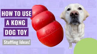 How to Use a Kong Dog Toy - Stuffing Ideas!