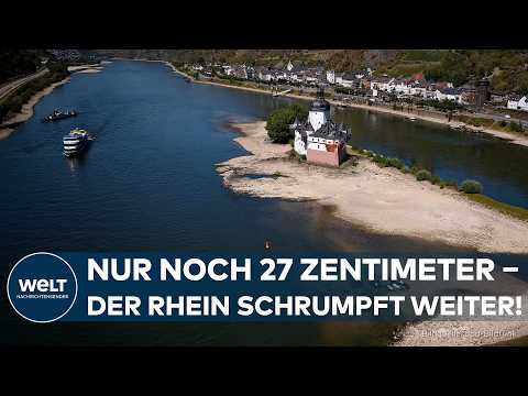 Video Thumbnail: NIEDRIGWASSER AM RHEIN: Pegel fällt drastisch – Schifffahrt vor neuen Einschränkungen!