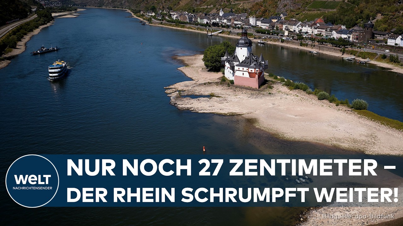 NIEDRIGWASSER AM RHEIN: Pegel fällt drastisch – Schifffahrt vor neuen Einschränkungen!