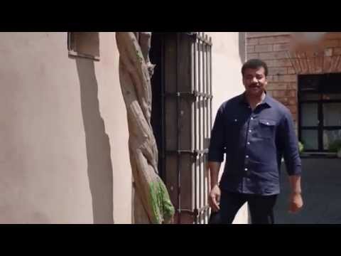 Cosmos 2014 Episódio 01 - De Pé na Via Láctea