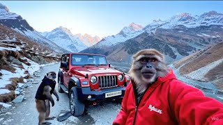 Thar  लेकर Viral Monkey Vlogger पहुंचा  ।। तुंगनाथ महादेव मंदिर ।।  वायरल ब्लॉग