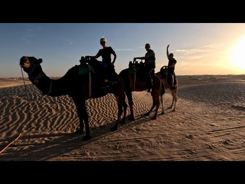 Tunisia Trio Camel Ride