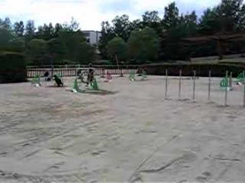 Päivi & Jassa 01.06.2008 (Kisa D)