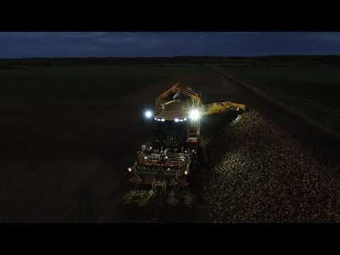 SugarBeet Harvest Germany with Ropa in  Kl.Flöthe 2020