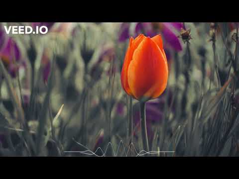 Wendi Mak - Tagebignalesh Wey  ታገቢግኛለሽ ወይ Lyrics Music