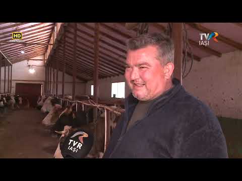 Satul meu  la Corbasca