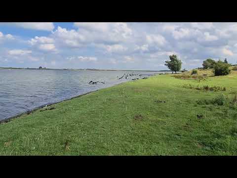 Holland 2020 Wolphaartsdijk. Eine kleine Reise. Zeeland.