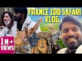 My First Ever France Thoiry Zoo Vlog Mr Makapa