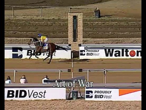 Emperors Palace Ready To Run : Want to be King Of The Jungle?