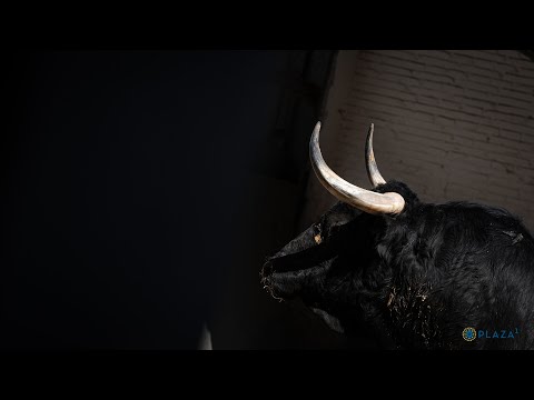 SORTEO | Corrida toros 12 mayo, Juan Pedro Domecq