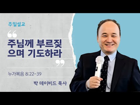 영상