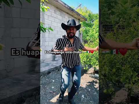 Hindu bailando Huapango Remix #choquecultural #india #indianinmexico #huapangos #vaquero #viral