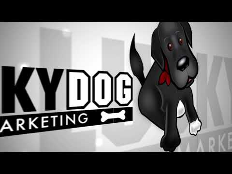 Lucky Dog Marketing video.