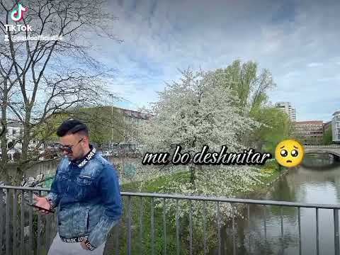 Muharrem Ahmeti - 14 Shkurti (tik tok)