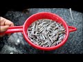 How To Clean Ayira Meen Fish