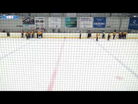 Pelicans vs Jukurit  16.10.2020