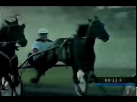 IGLESIAS NOVEMBER 1:17,2 "Backa" 1600m-Subotica 2001