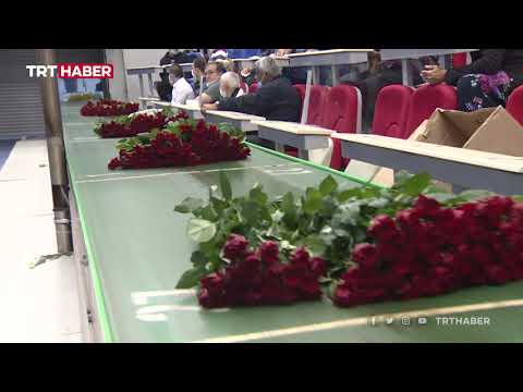 Türkiye'nin tek çiçek borsası üreticiler ile satıcıları buluşturuyor