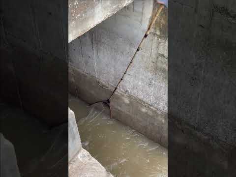 Real Life 100% Net Fishing In River At The Countryside .(Episode 129)