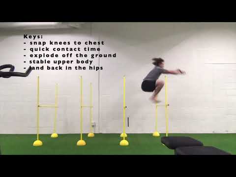Hurdle Hops