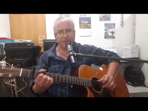 ,,Ranitul intre linii,, - cover - Mircea Bodolan